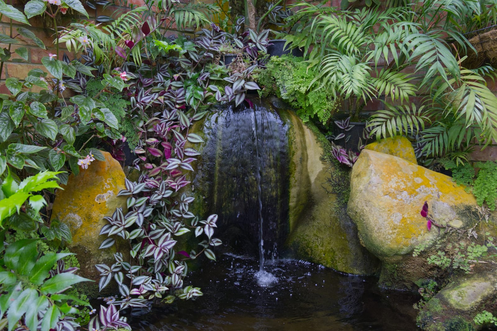 Bason Botanic Gardens, Wanganui, NZ
