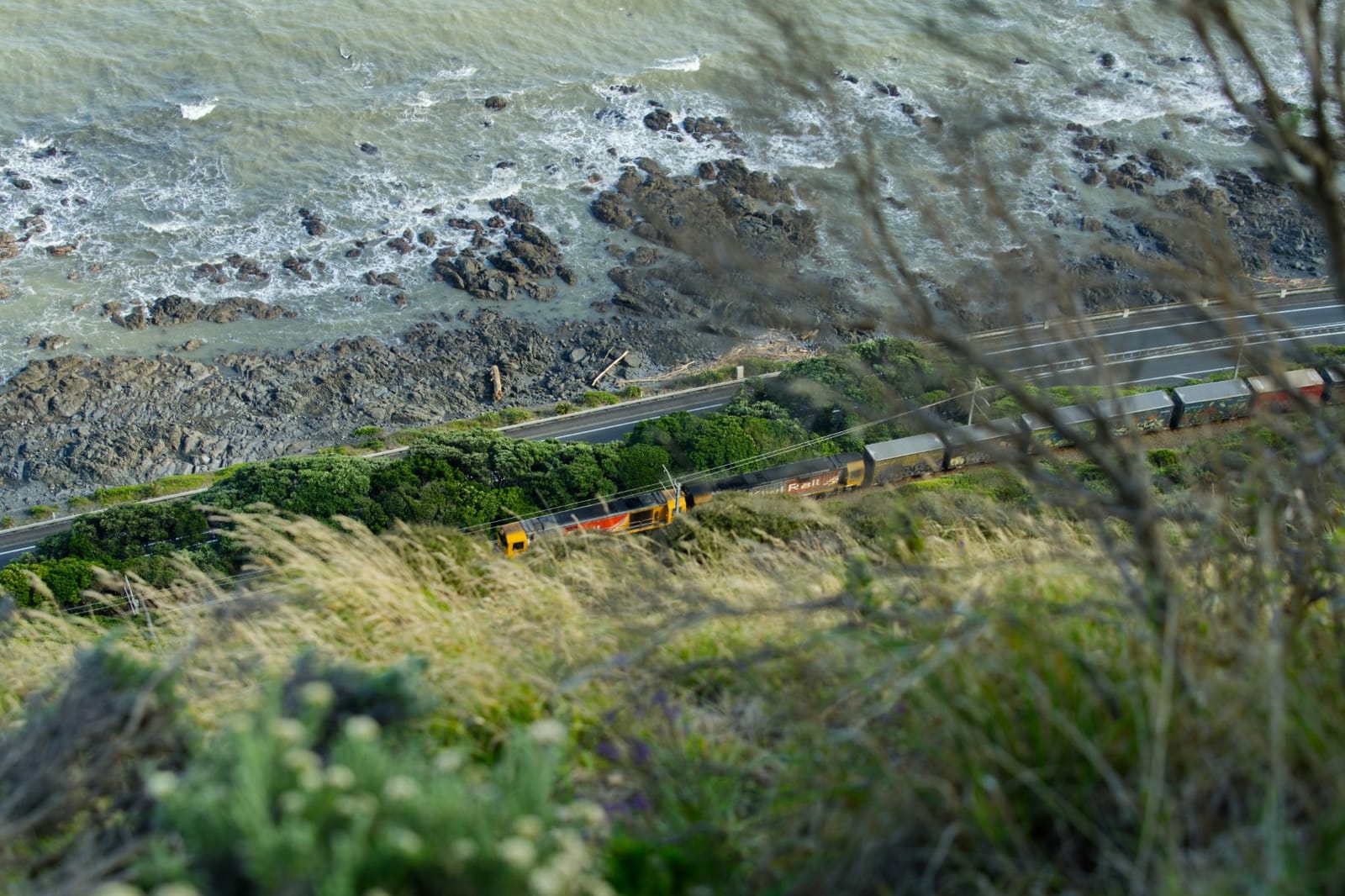 Paekākāriki Escarpment Track